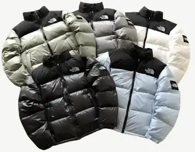 North Face 1996 Nupste Puffer Jacket [Husky Batch] #2
