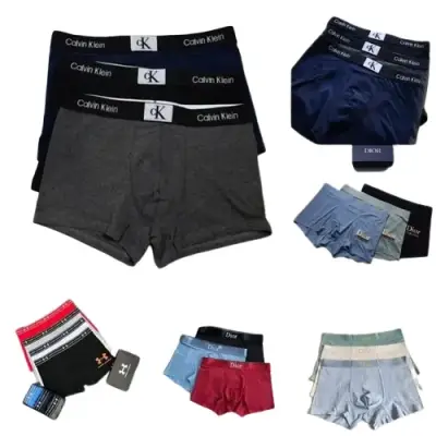 Various Underwear (31 Variants)