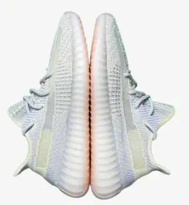 Adidas Yeezy Boost 350 V2