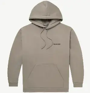 Balenciaga Embroidered Hoodie Brown