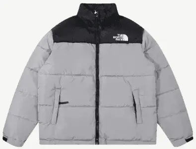 The North Face Down Jacket (7+ Styles)