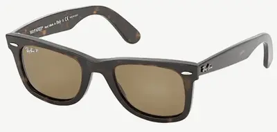 Ray-Ban Sunglasses (21+ Styles)