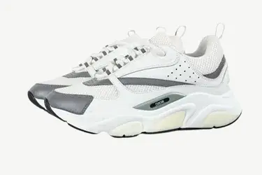 More Dior B22 (16 Colorways)