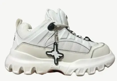 Dior Snow sneaker