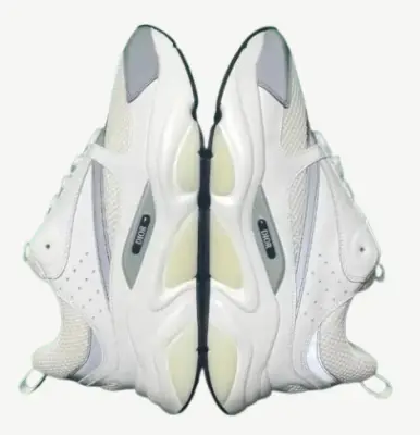 Dior B22