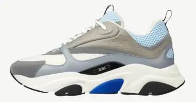 Dior B22