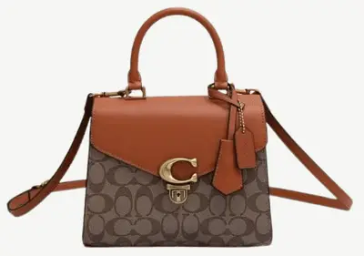 Coach Signature Bag
