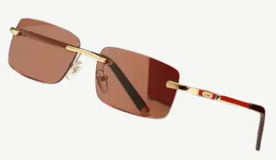 Cartier Sunglasses #2 (27 Variants)