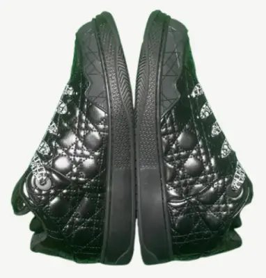 Dior B9S Skater ERL